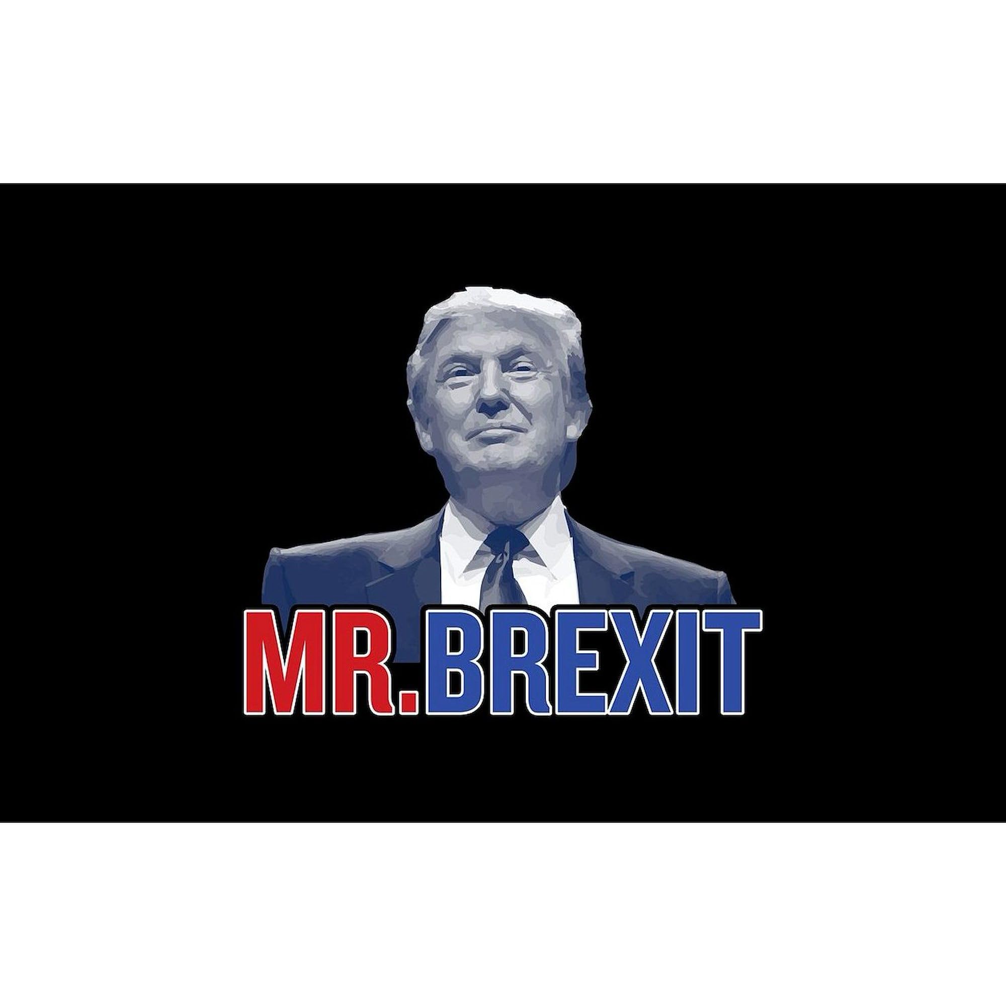 Donald Trump Mr. Brexit Oval Car Bumper Sticker - Waterproof Vinyl Decal for Cars, Laptops, Windows - Political Humor Gift for Trump Supporters