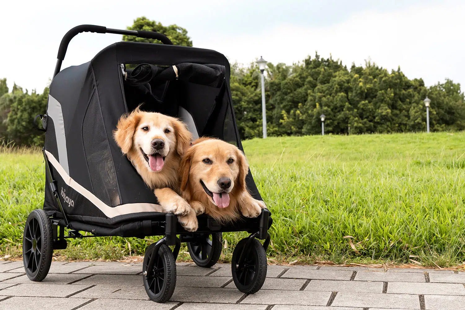 Grand Cruiser Large Dog Stroller - 4 Wheel Foldable Pet Pram for Big Breeds, Senior & Disabled Dogs | Perfect for Outdoor Walks, Vet Visits & Recovery
