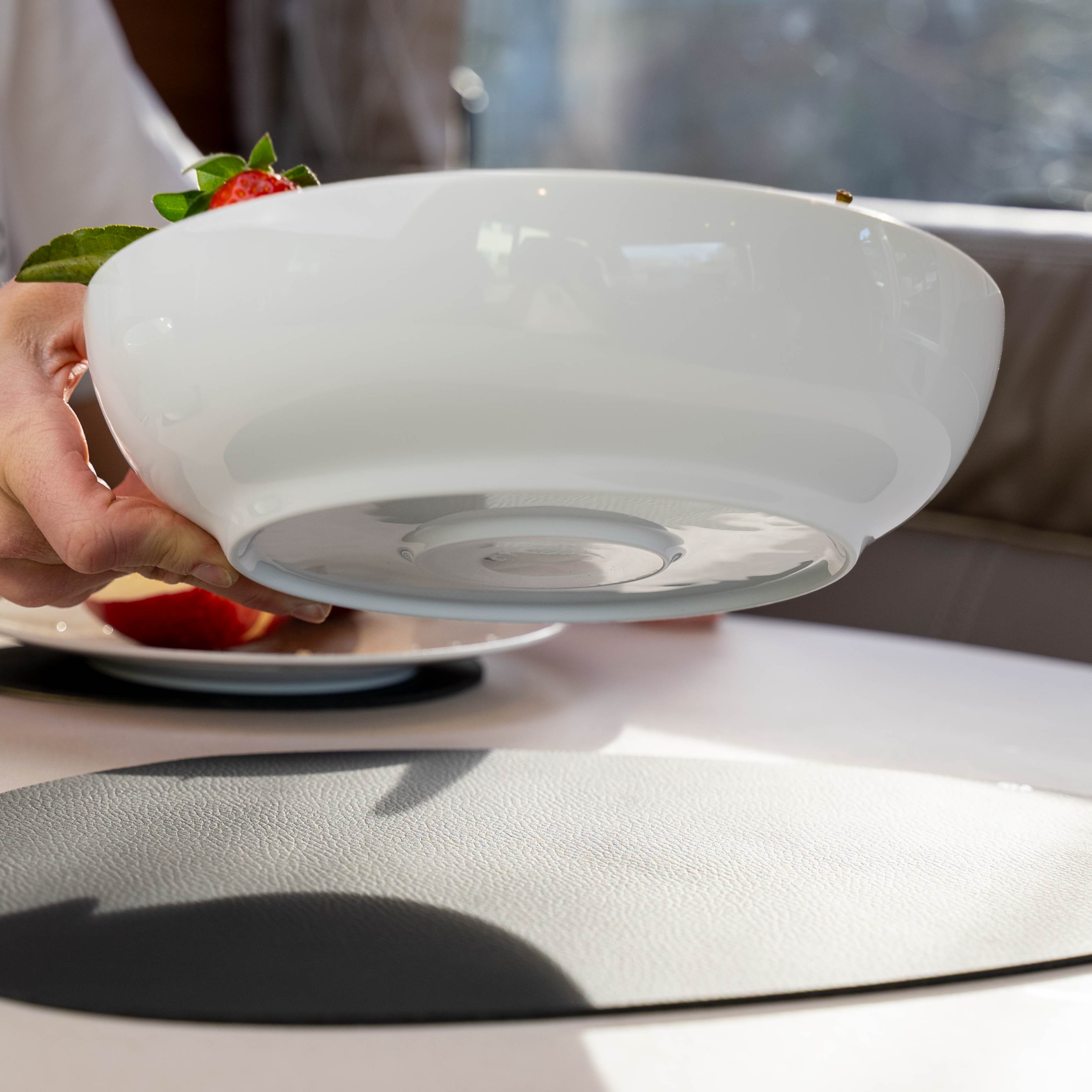 Premium Porcelain Food Bowl with Magnet Base - 25cm Classic Design for Cats & Dogs - Perfect for Home, Office, or Travel Use
