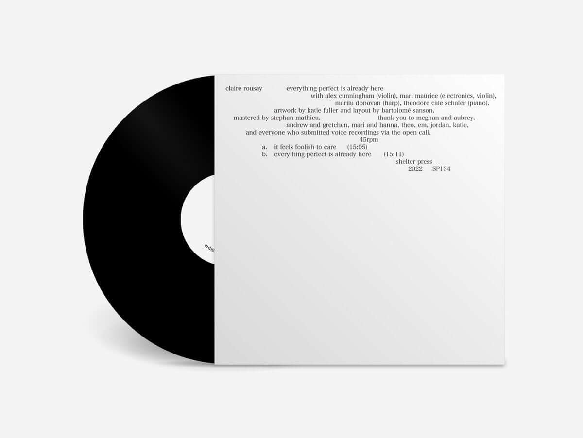 Claire Rousay - Everything Perfect Is Already Here | Vinyl Record | Ambient Music Album | Perfect for Relaxation & Meditation