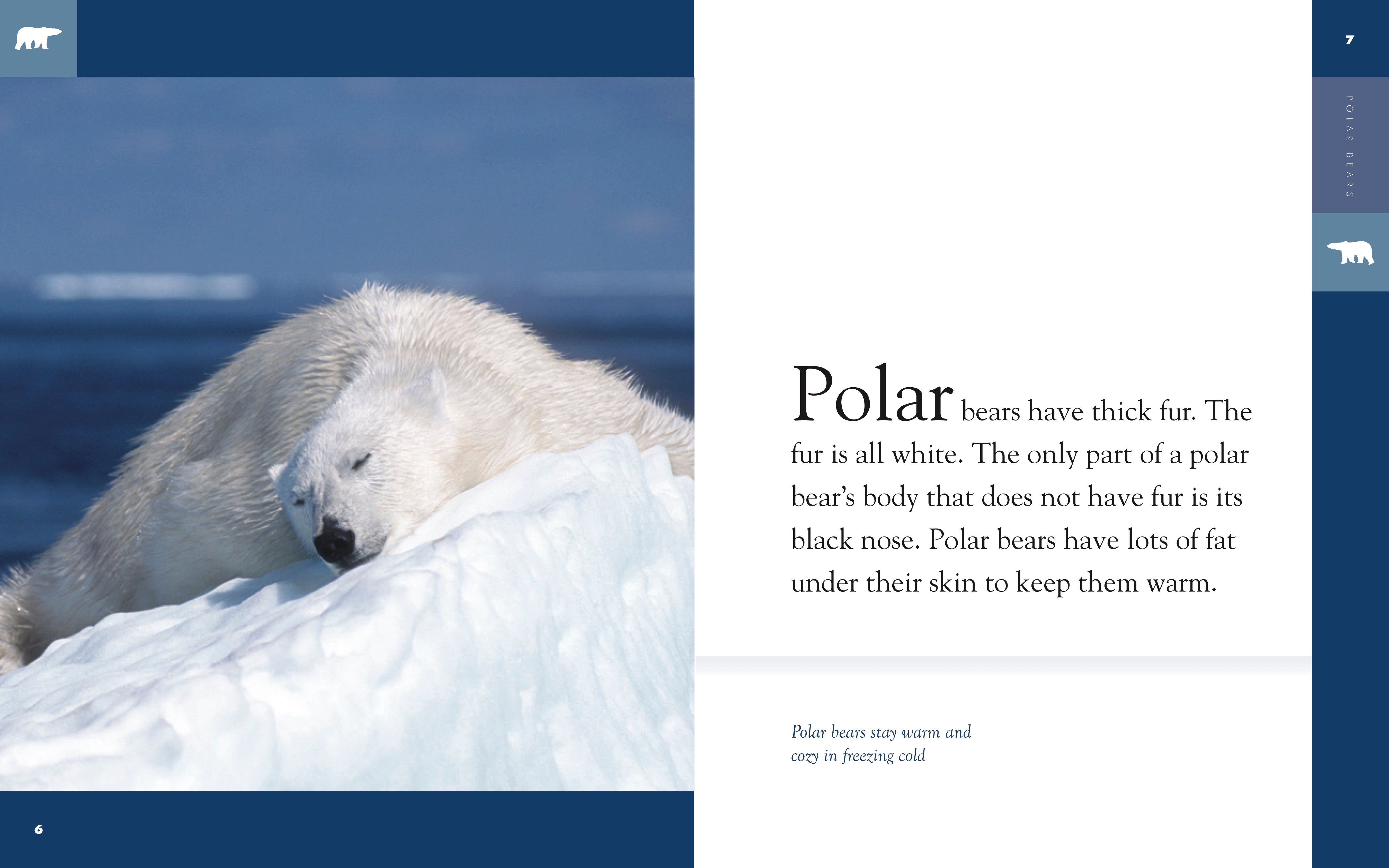 Amazing Animals (2014) Polar Bears - Wildlife Documentary Film | HD Nature Videos for Education & Entertainment