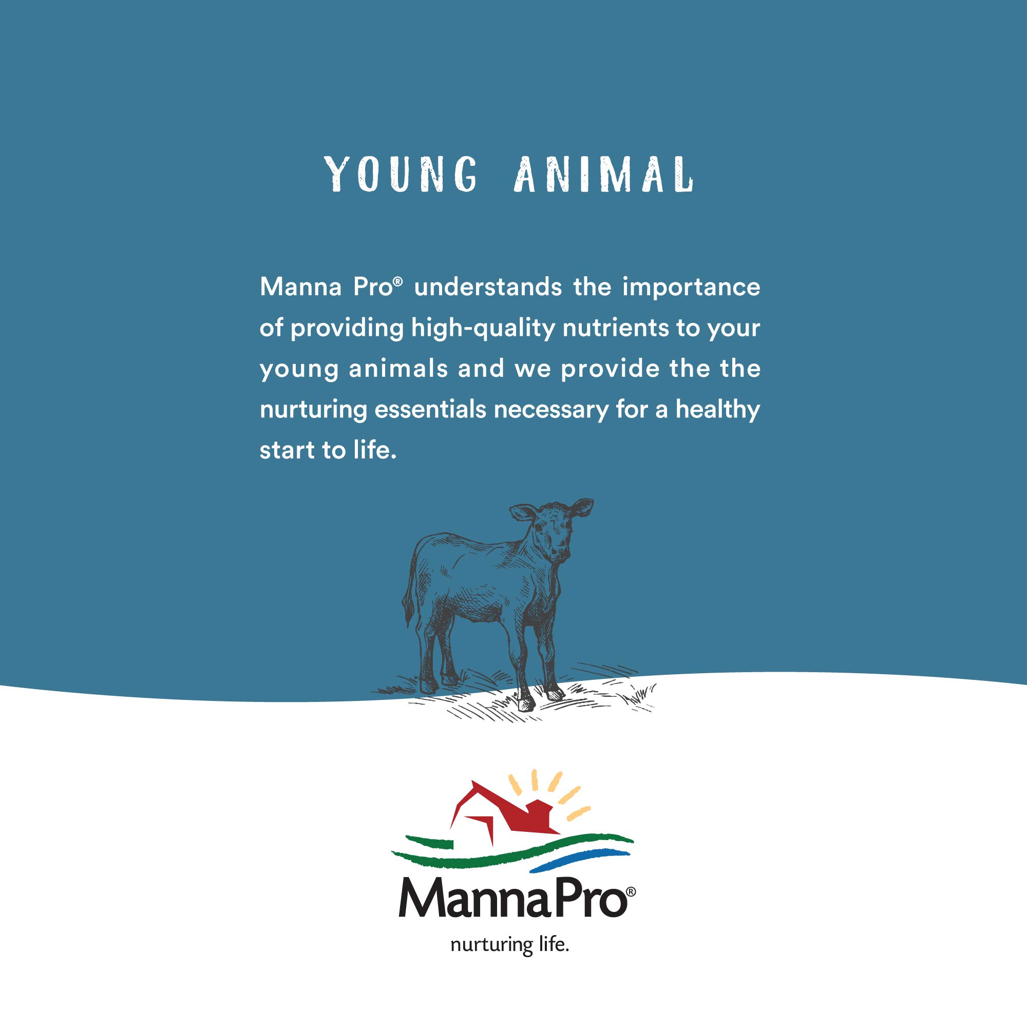Manna Pro Bounce Back Vitamin Supplement for Chickens, 4 oz – Supports Poultry Health & Recovery for Backyard Flocks