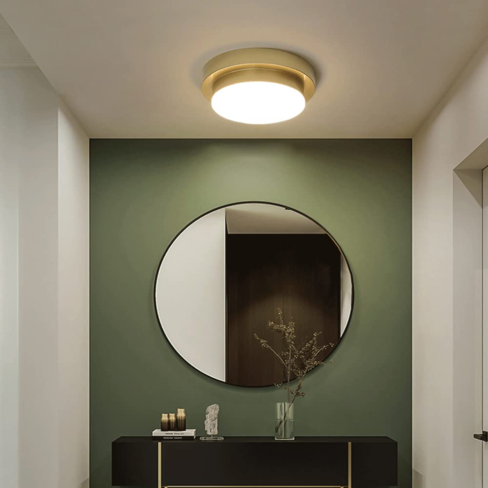 Modern 14W LED Ceiling Light Fixture - Metal & Acrylic Surface Mounted Lighting for Bedroom, Living Room, Corridor, Balcony | Energy Efficient Home Lighting Solution for Indoor Spaces