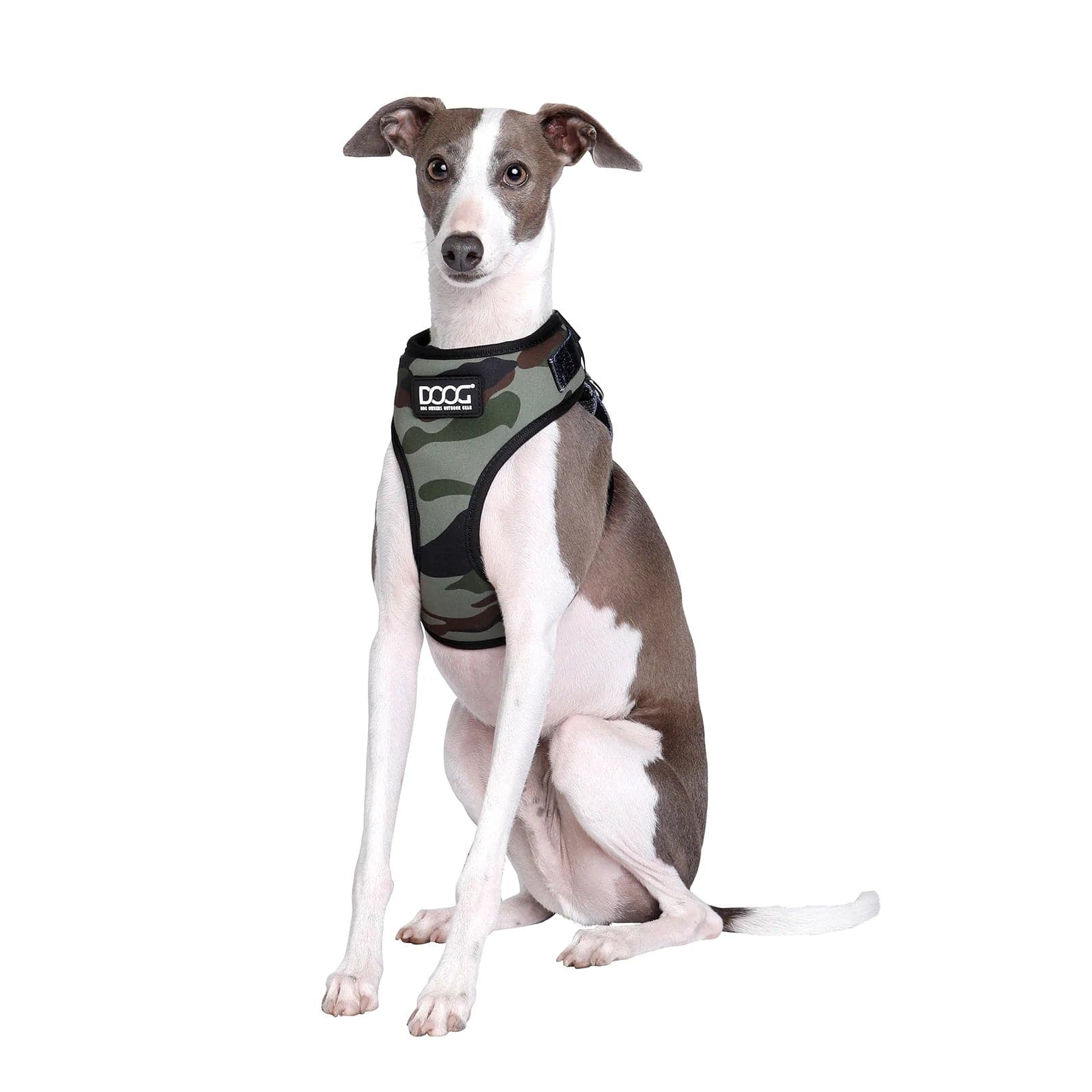 Canine Camo Neoprene Dog Collar - Durable & Adjustable Pet Collar for Medium & Large Dogs - Perfect for Hunting, Hiking & Outdoor Adventures