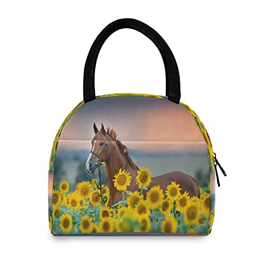 Sunflower Horse