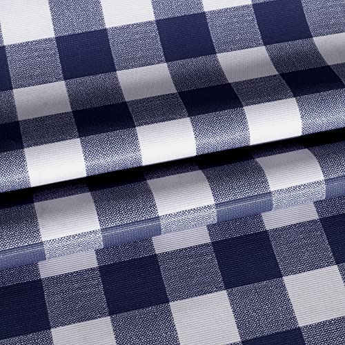 Blue and White Checkered