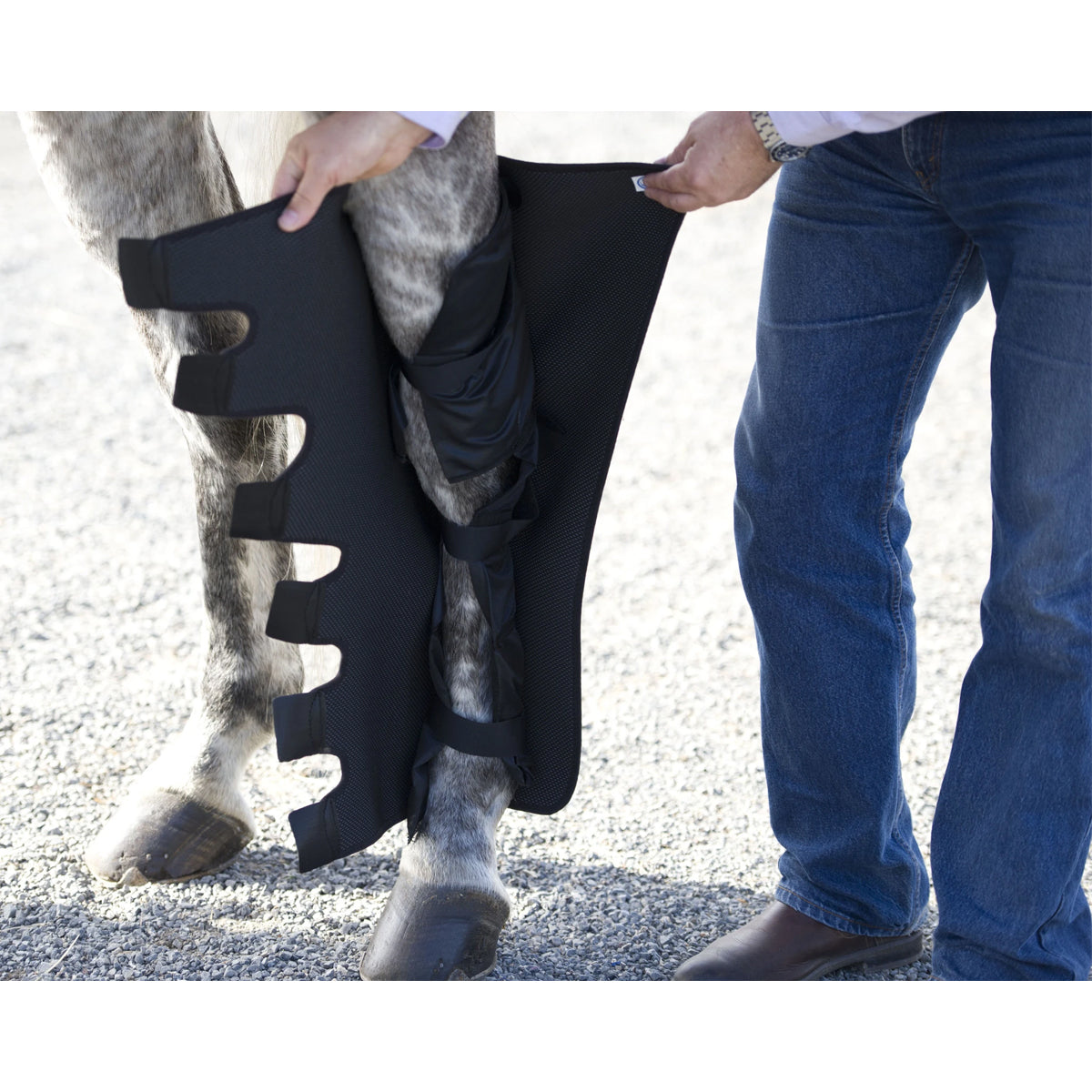 Ice Horse Full Hind Leg Wrap - Horse Boots for Protection & Support - Ideal for Riding, Training & Injury Recovery