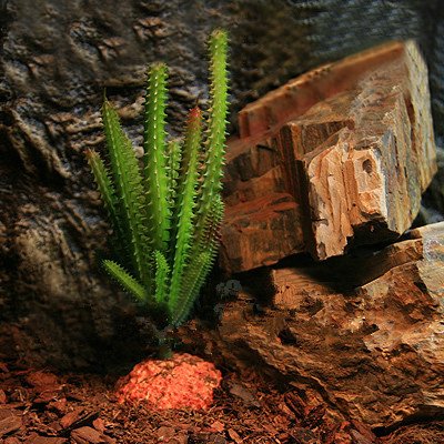 uxcell Green Plastic Terrarium Cactus Plants - Artificial Succulent Decor for Home, Office, Garden | Perfect for DIY Terrariums, Fairy Gardens & Desert-Themed Displays