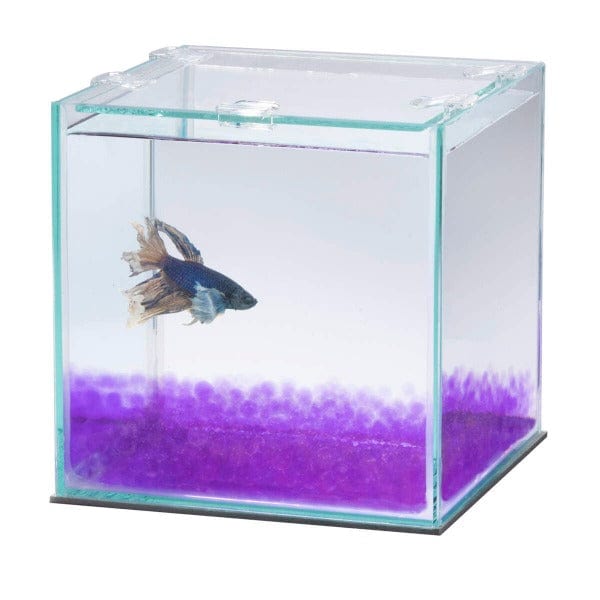 Aqueon PURE Betta Beads - Premium Water Conditioner for Betta Fish Tanks | Natural Biological Filtration | Safe for Freshwater Aquariums | Perfect for Small Fish Bowls and Nano Tanks