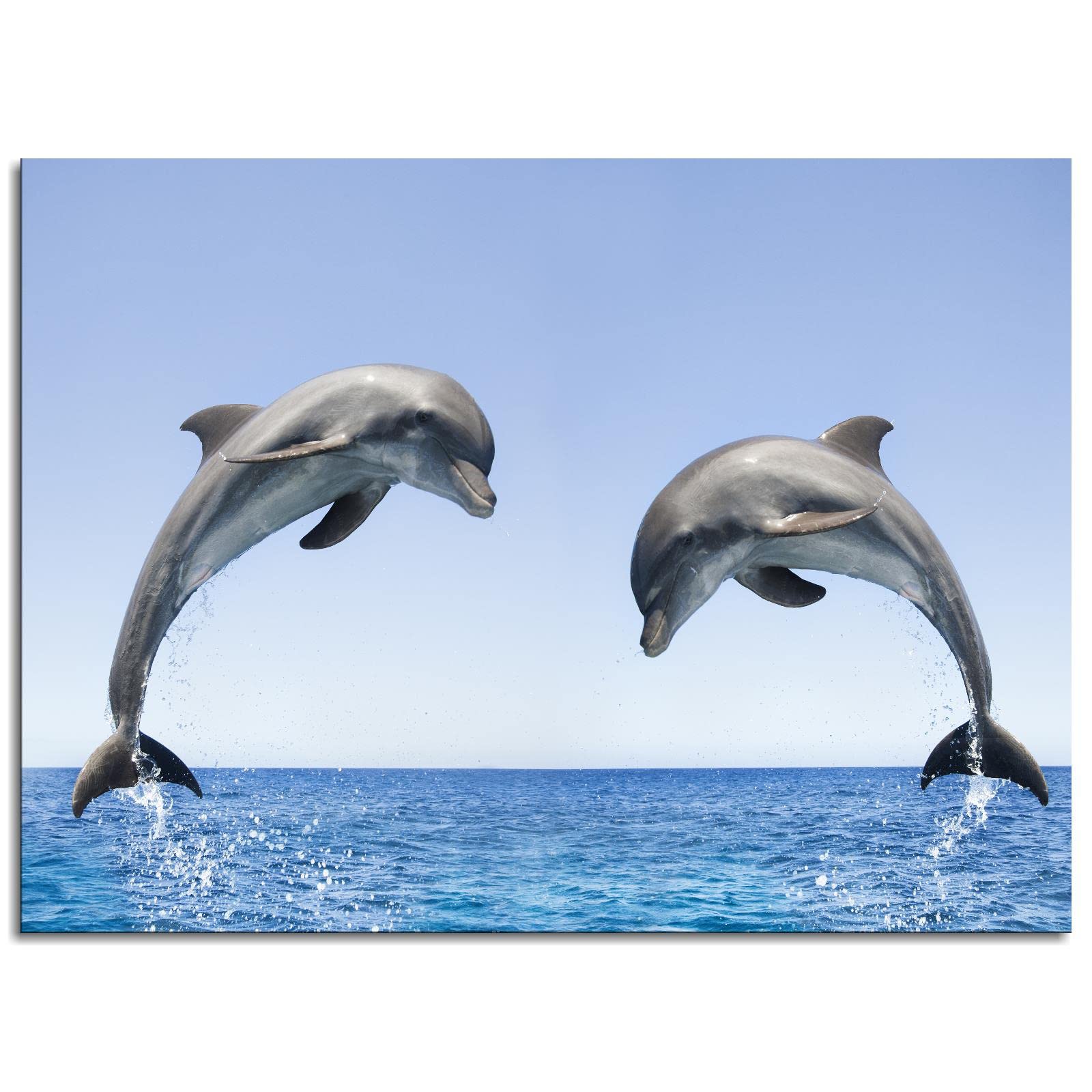Dolphin Canvas Wall Art - 16x12 Inch Framed Animal Print Poster for Home & Office Decor | Perfect for Living Room, Bedroom, or Beach House