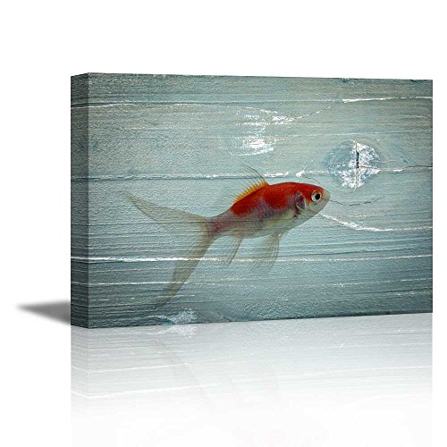 Fish - 02