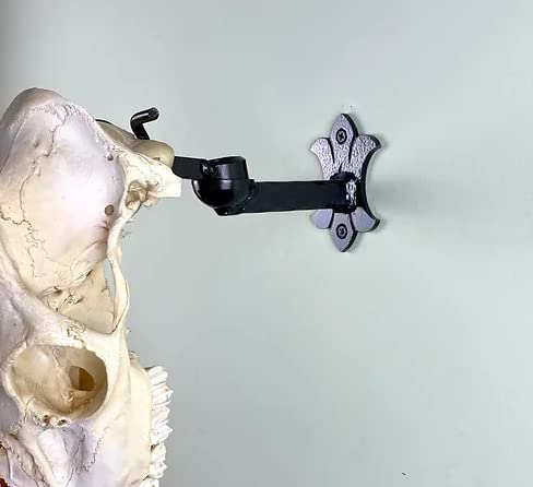 Adjustable Bull Bracket European Elk Skull Hanger Mount Kit - Heavy Duty 100+ lb Capacity for Elk, Moose, Caribou, Buffalo & Cattle Taxidermy - Oil Rubbed Bronze Wall Mount - Made in USA - Perfect for Hunting Lodges, Cabin Decor & Trophy Displays