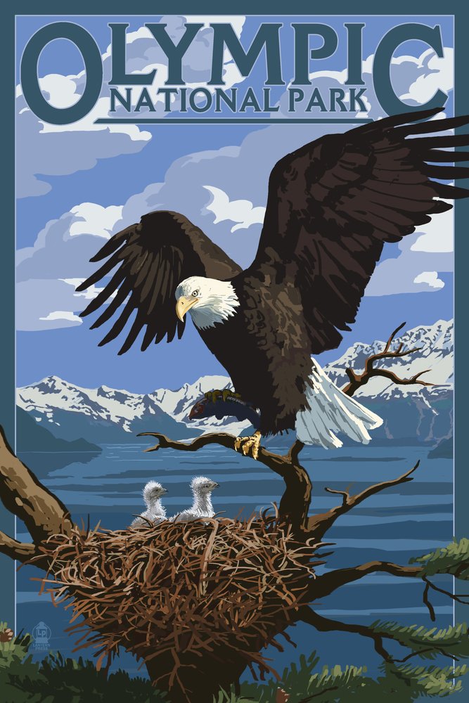 Olympic National Park Washington Eagle and Chicks Wall Art Poster - 12x18 Inches Nature Wildlife Decor for Living Room, Bedroom, Office - Perfect Gift for Bird Lovers and Home Decor Enthusiasts