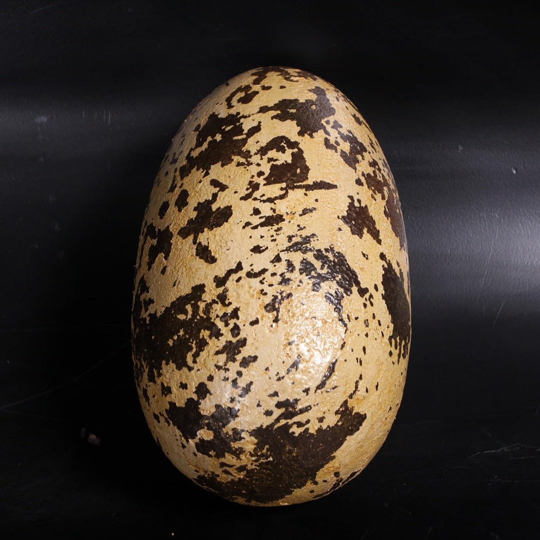 LM Treasures Small Theropod Dinosaur Egg Life-Size Replica - Perfect for Dinosaur Enthusiasts, Home Decor & Educational Displays