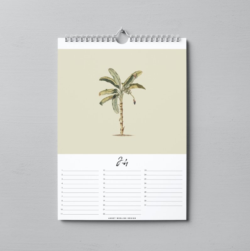 Perpetual Birthday Calendar - INTO THE JUNGLE Theme A4 Size | Perfect for Home, Office & Classroom Organization
