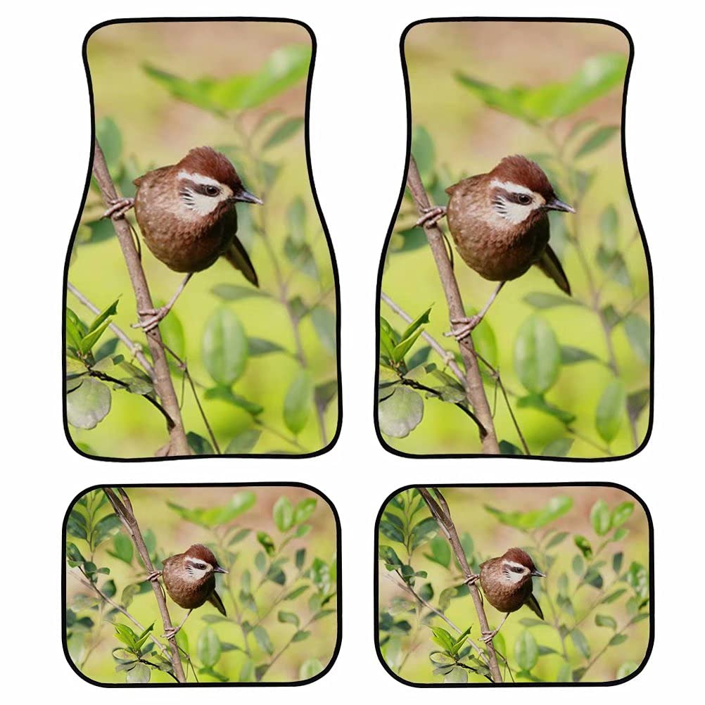 Stylish Cumagical Bird Pattern Car Floor Mats - 4-Piece Set for Front & Rear Seats, Custom Fit for Most Vehicles | Durable, Fashionable Interior Decor for Cars, SUVs & Trucks | Perfect for Home, Office & Travel Use