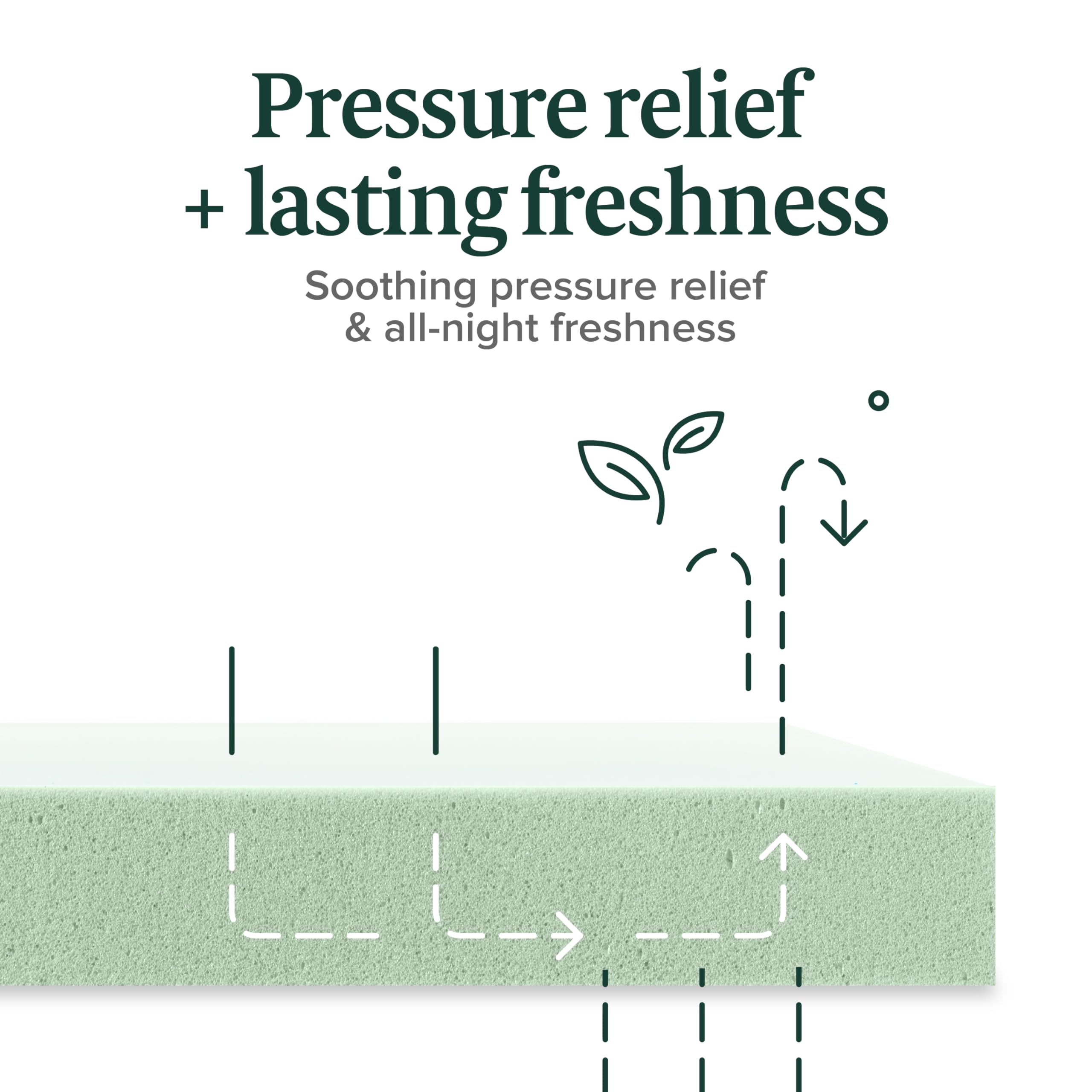 ZINUS 6 Inch Green Tea Memory Foam Mattress - Medium Firm, Pressure Relief, Fiberglass Free, CertiPUR-US Certified (75”x30