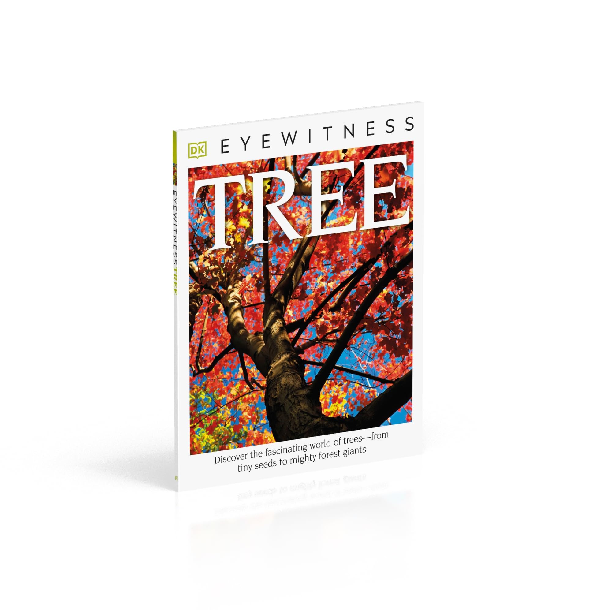 Eyewitness Tree Book: Explore the Fascinating World of Trees from Seeds to Forest Giants | DK Eyewitness Nature Guide | Perfect for Kids Learning & Nature Enthusiasts