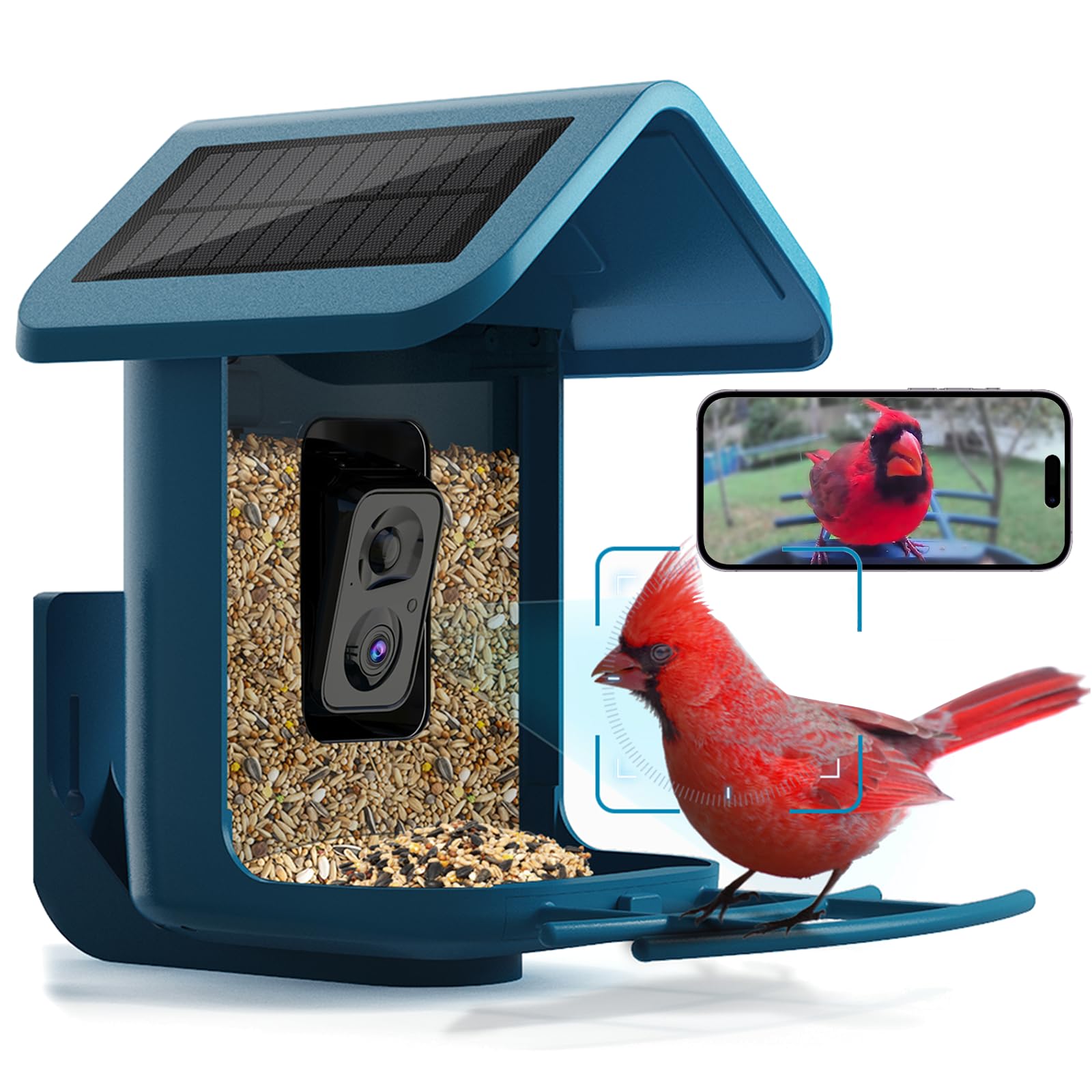 Solar Powered Smart Bird Feeder with 2K Camera - AI Bird Identification, Auto Video Capture, 2.4GHz WiFi, Live Streaming - Perfect Outdoor Backyard Gift for Bird Lovers (Great for Bird Watching & Nature Observation)