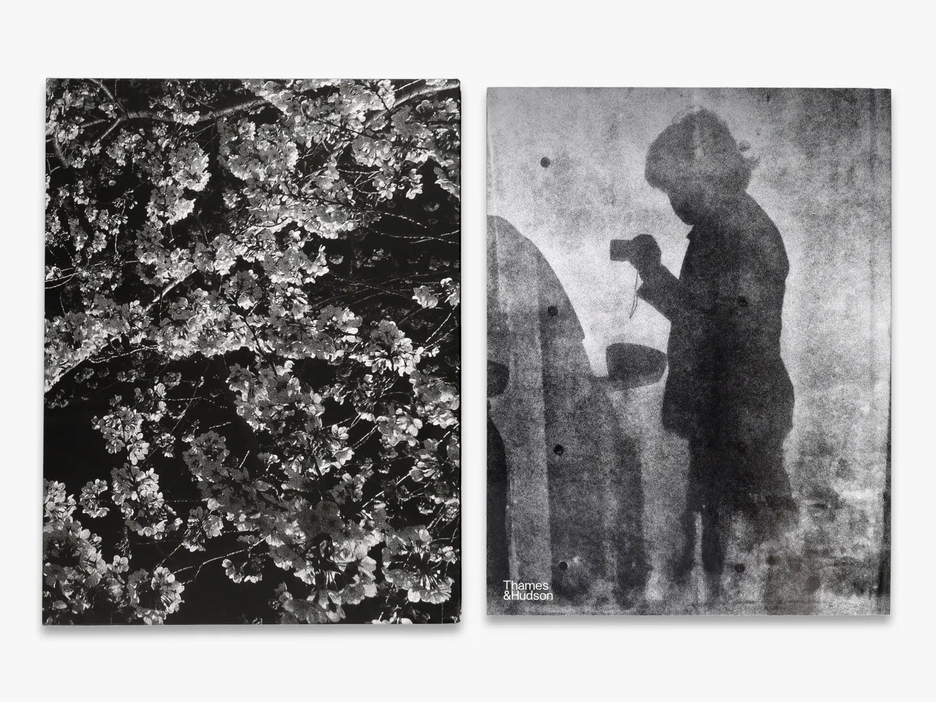 Daido Moriyama Record 2 - Japanese Street Photography Book - Urban Culture & Black & White Art - Perfect for Photography Enthusiasts & Art Collectors