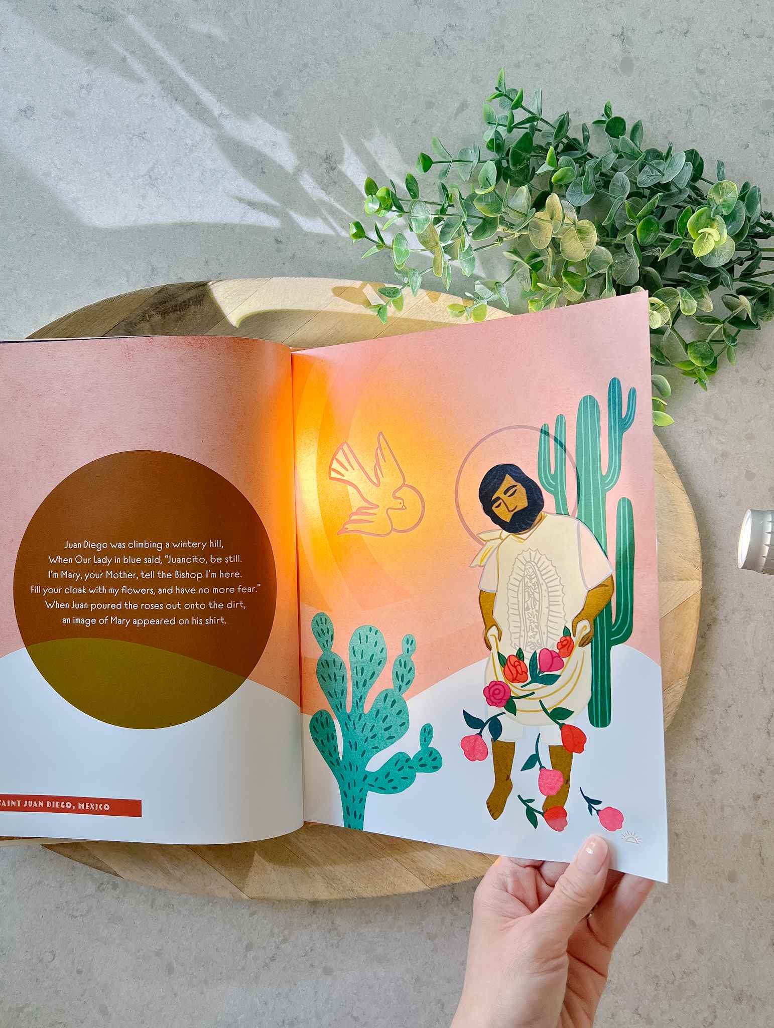 Light of the Saints Book - Inspirational Catholic Reading for Spiritual Growth & Daily Devotion - Perfect for Prayer Time, Bible Study & Gift Giving