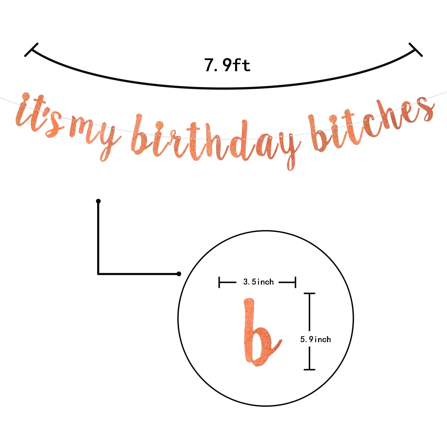 Rose Gold Glitter Birthday Banner - Funny 'It's My Birthday Bitches' Party Decoration - Happy Birthday Sign for Women's Birthday Party, Bachelorette & Girls Night Decor