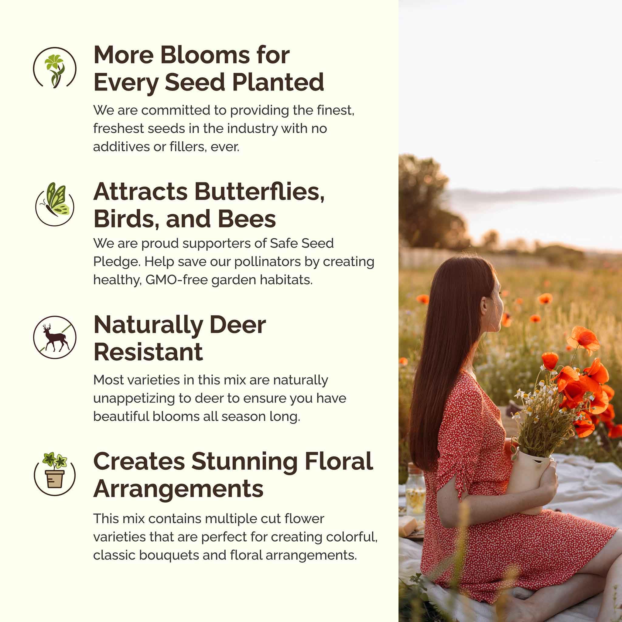 **Eden Brothers California Wildflower Seeds Mix - 1/4 lb (120,000+ Seeds) with Black Eyed Susan & Shasta Daisy - Attracts Pollinators, Easy to Grow for Spring/Fall Planting - USDA Zones 3-10 - Perfect for Gardens, Meadows & Landscaping**
