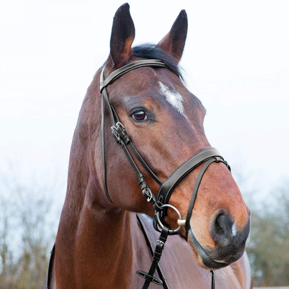 HORZE Venice Padded Synthetic Leather Snaffle Bridle with Flash and Reins - Durable Equestrian Horse Riding Equipment for Dressage, Jumping & Training