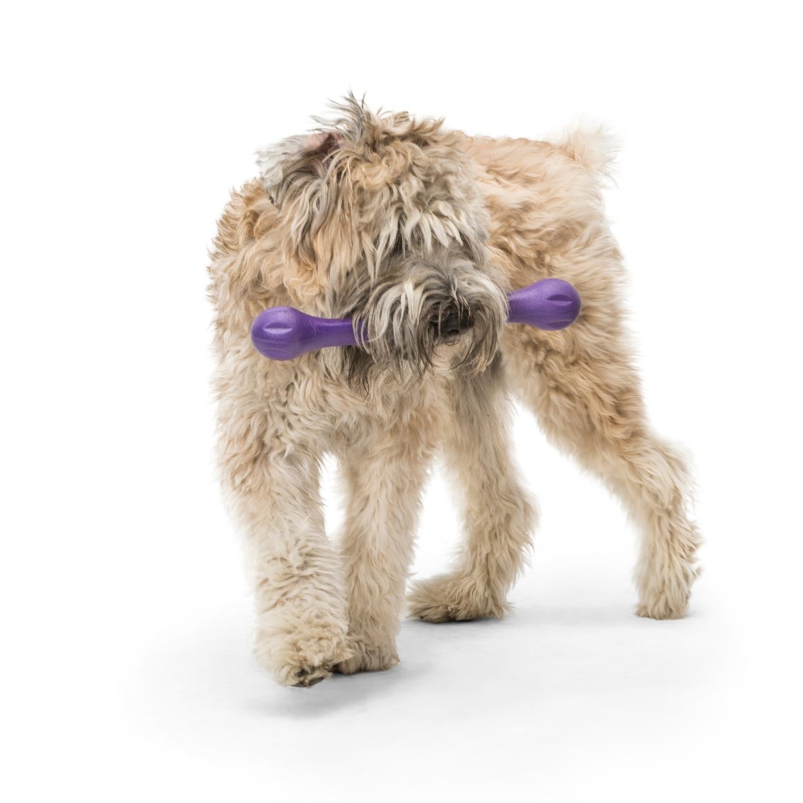 West Paw® ZWIG Dog Toy - Soft, Durable Chew Toy for Small & Large Dogs - Purple Color - Perfect for Indoor Play, Fetch & Teething Puppies