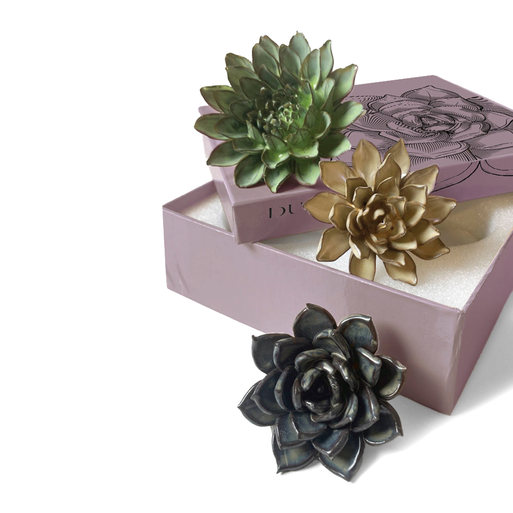 Premium Ceramic Flower Pot Set - Elegant Home & Garden Planters for Indoor & Outdoor Decor - Perfect for Succulents, Herbs, and Small Plants