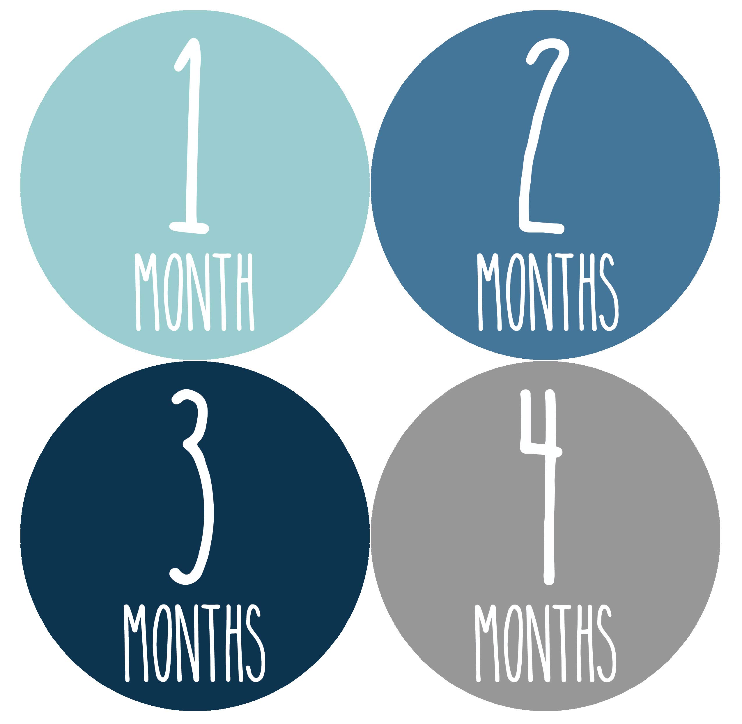 Baby Milestone Stickers Set of 24 - Newborn Monthly Growth Tracking Stickers for Boys & Girls - Perfect for Baby Photo Shoots, Scrapbooking & First Year Memory Keepsakes