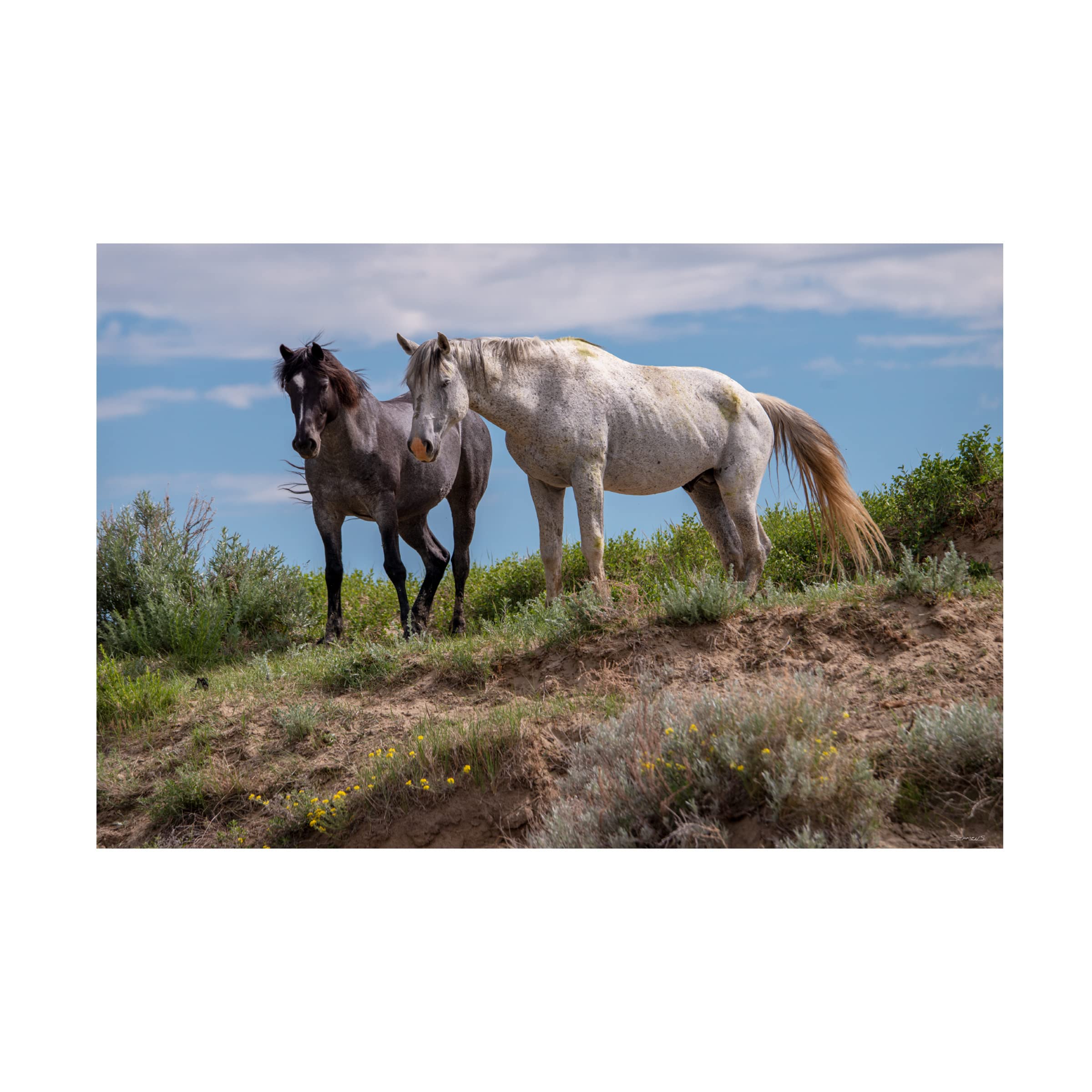 Gordon Semmens 'Enter the Badlands 33' 16x24 Canvas Wall Art Print - Western Landscape Painting for Living Room, Office & Home Decor