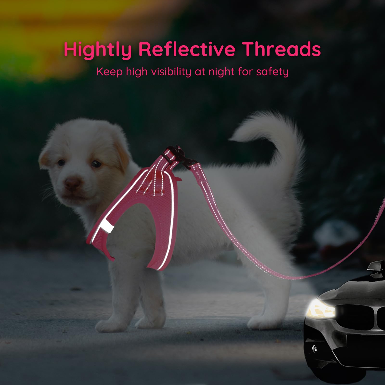 BELLA & PAL Small Dog Harness and Leash Set - No Pull Step-in Vest for Puppies & Extra Small Dogs - Hot Pink Pet Walking Accessories - Perfect for Daily Walks, Training & Outdoor Adventures