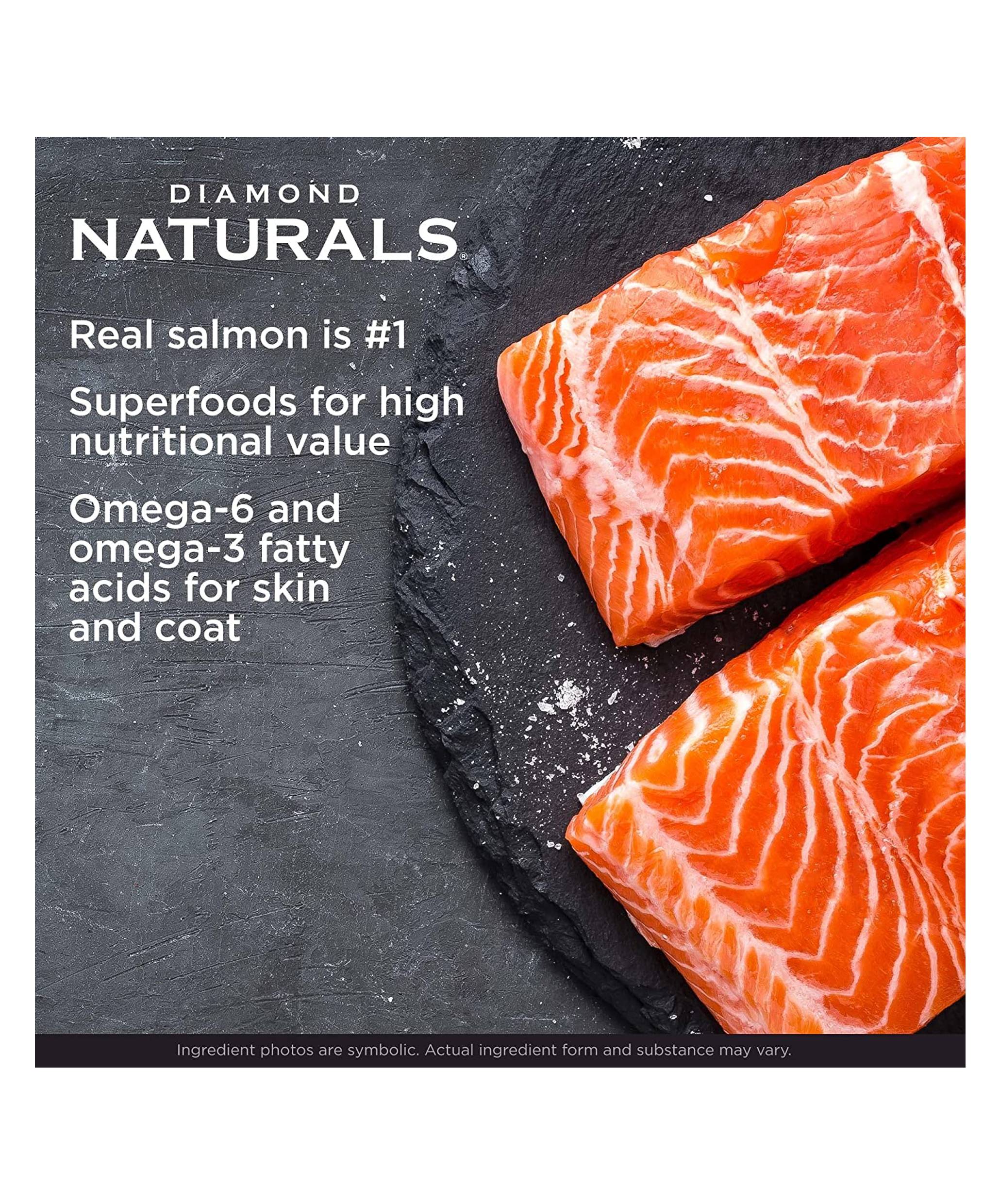 Diamond Naturals Skin & Coat Salmon & Potato Dry Dog Food - 6oz Sample Pack for Small & Medium Dogs | Grain-Free Formula for Healthy Skin & Shiny Coat | Perfect for Travel, Training & Treats