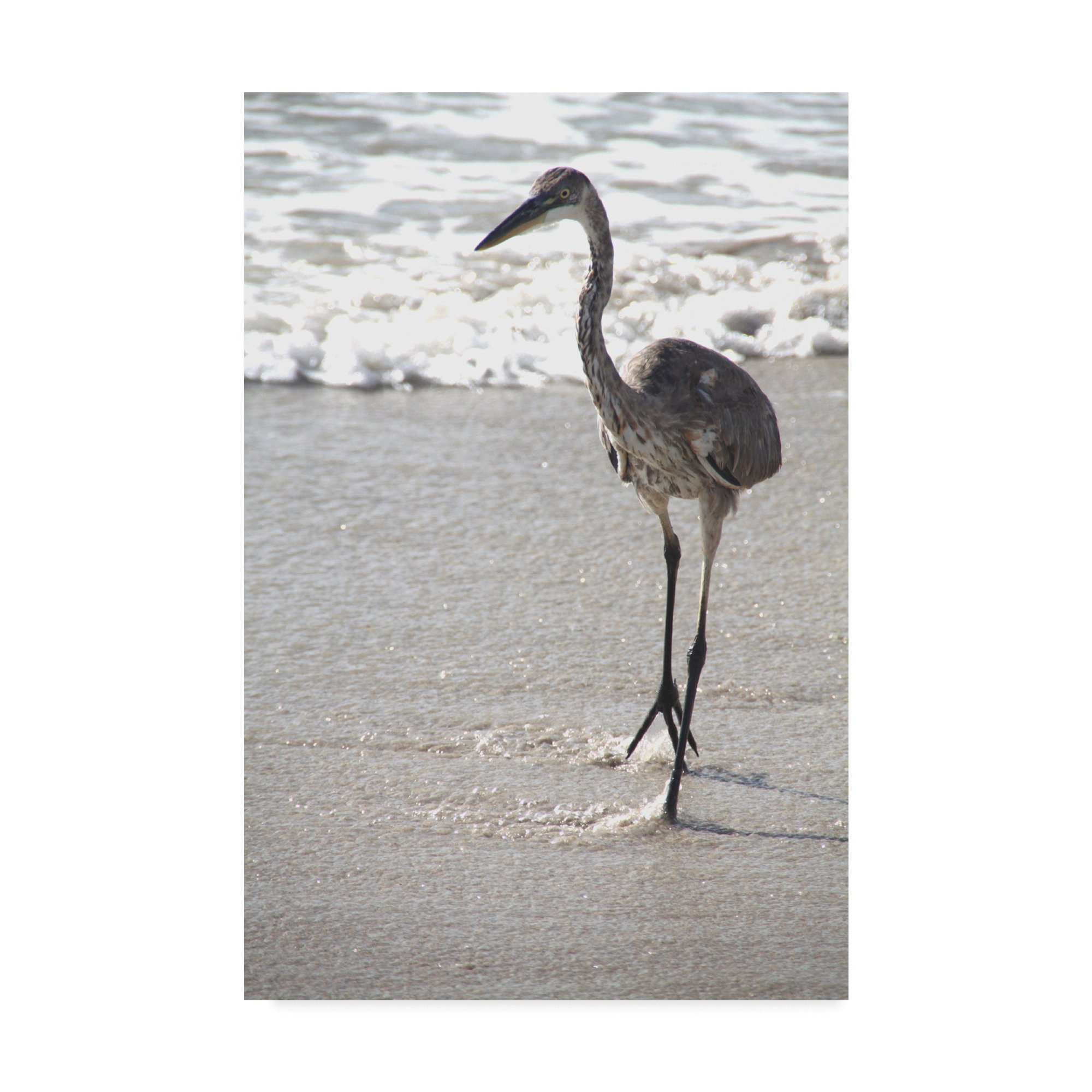 Robert Michaud Great Blue Heron Beach Wall Art - 30x47 Inch Coastal Decor Painting - Perfect for Living Room, Bedroom or Beach House Decor