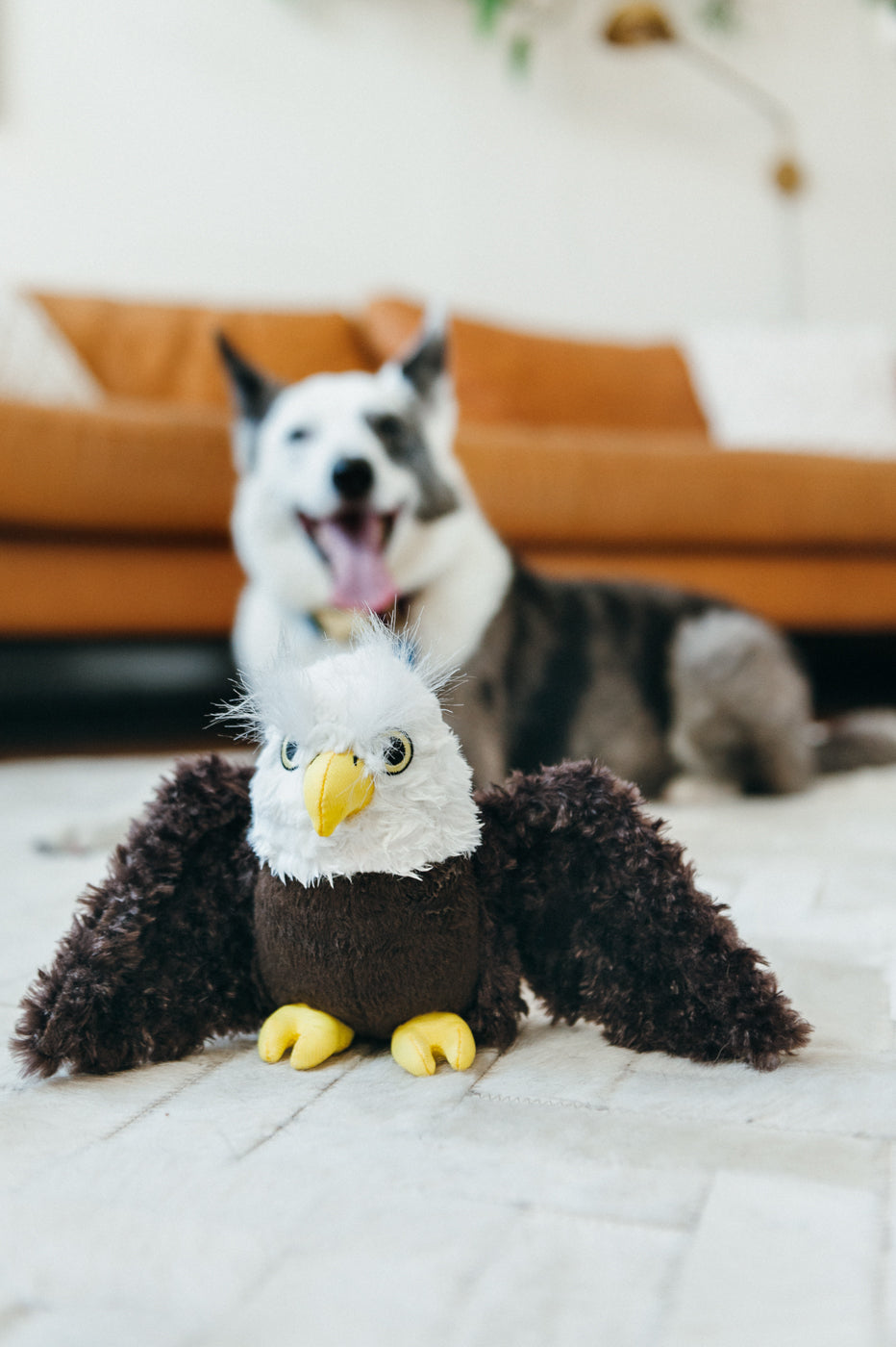 Edgar the Eagle Plush Dog Toy - Fetching Flock™ Chew-Resistant Squeaky Stuffed Animal for Medium & Large Dogs | Perfect for Fetch, Tug-of-War & Cuddling | Pet P.L.A.Y.