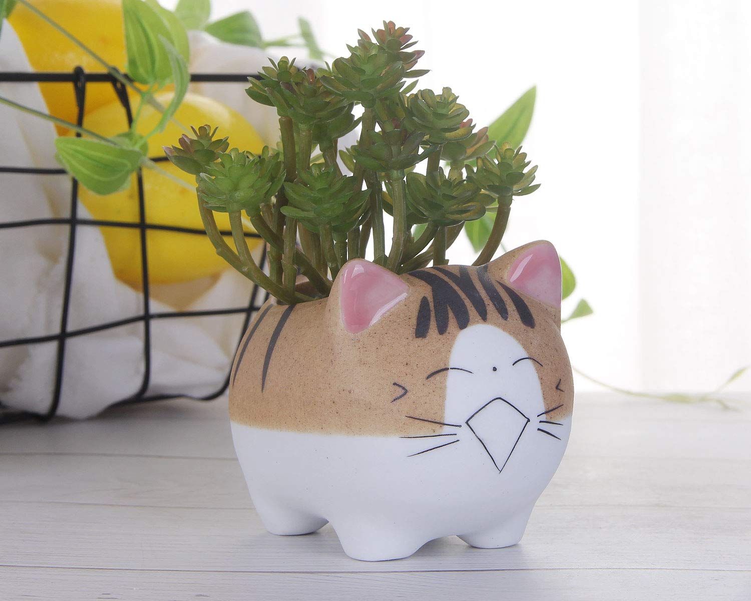 VanEnjoy 4.7 Inch Large Cat Succulent Planter - Ceramic Flower Pot with Drainage Hole, Handmade Cat Lover Gift for Office Desk, Home Decor & Garden Planting