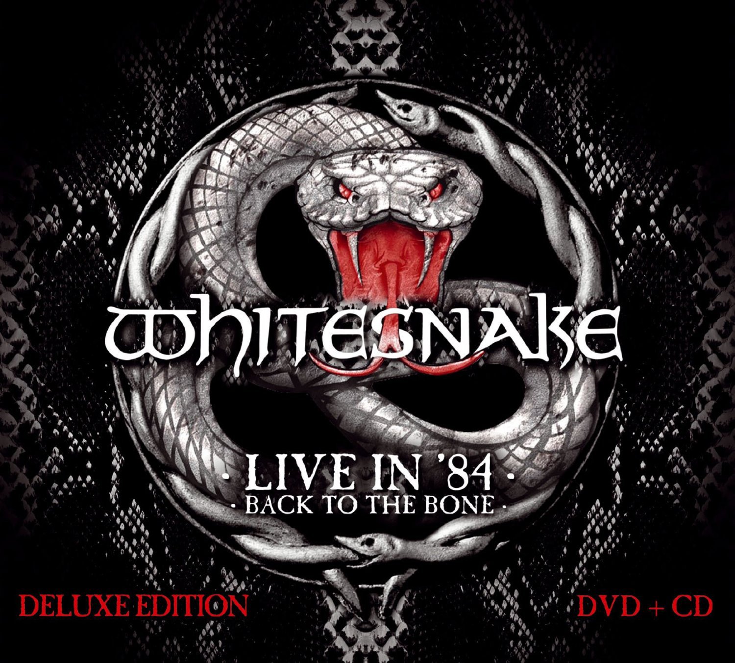Live In 84: Back To The Bone - Vintage Rock Album | Classic 80s Music Collection | Perfect for Parties, Road Trips & Retro Music Lovers
