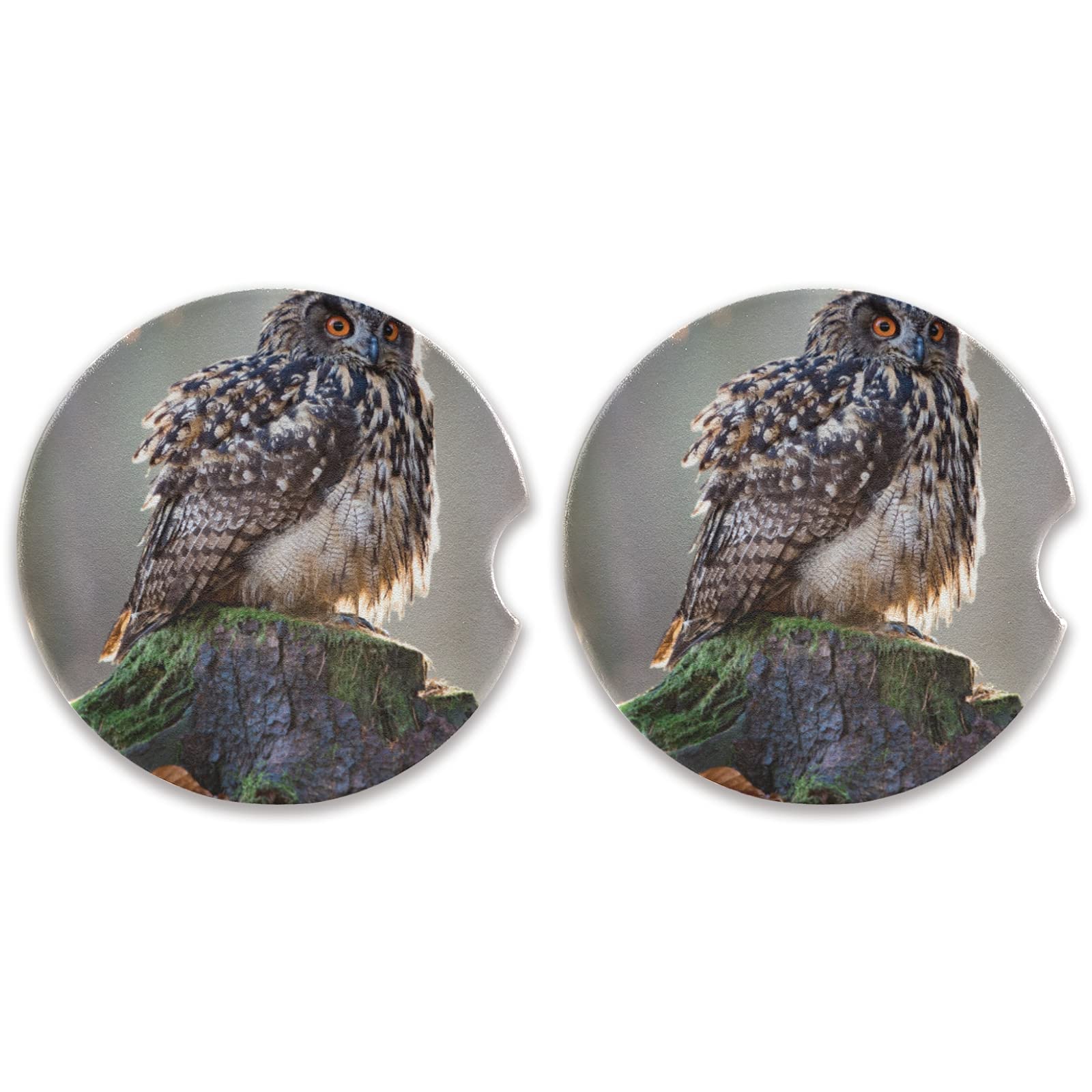 Cute Owl Car Coasters 2 Pack - Absorbent Ceramic Stone Cup Holders with Fingertip Grip for Drinks - Perfect for Cars, Trucks & SUVs - Prevents Spills & Protects Surfaces