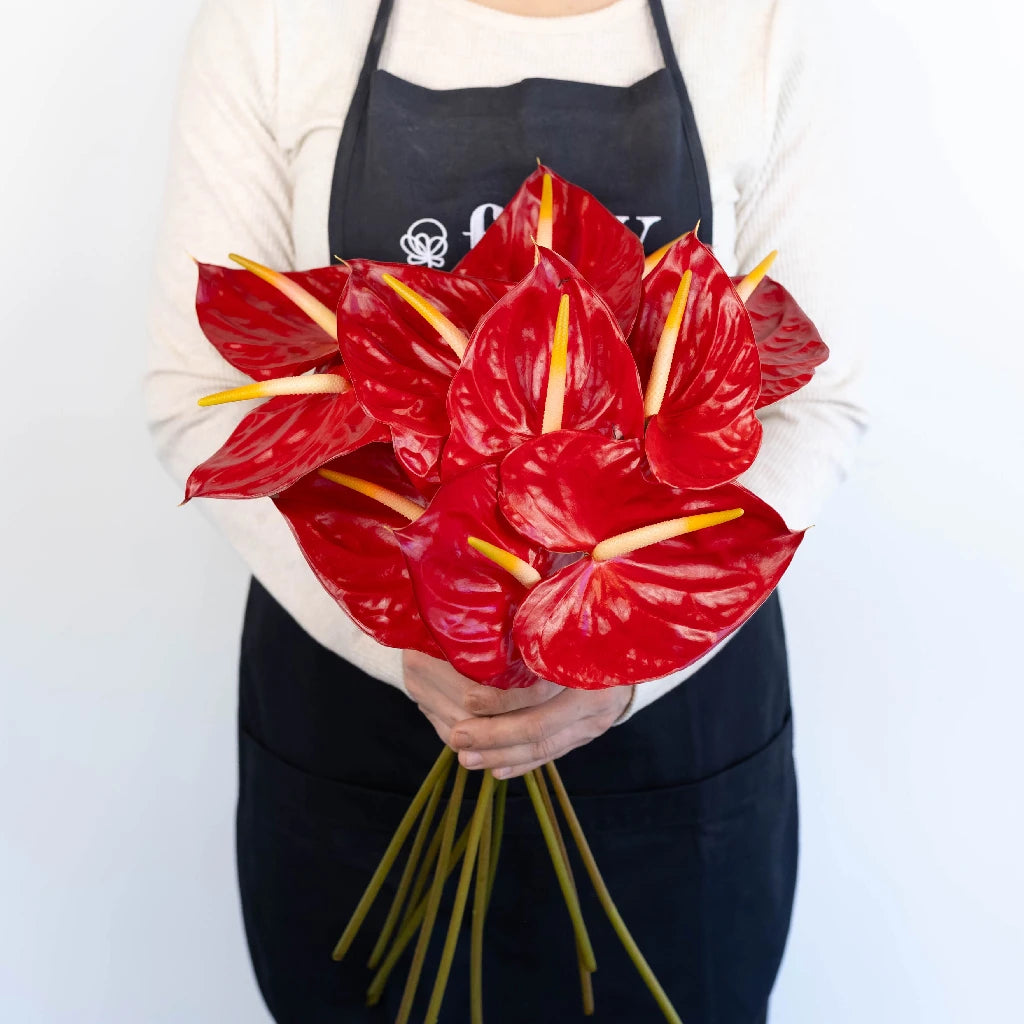 Anthurium Fire Red Tropical Flower - Exotic Live Plant for Home & Office Decor - Perfect for Indoor Gardens, Gifts, and Tropical Themes