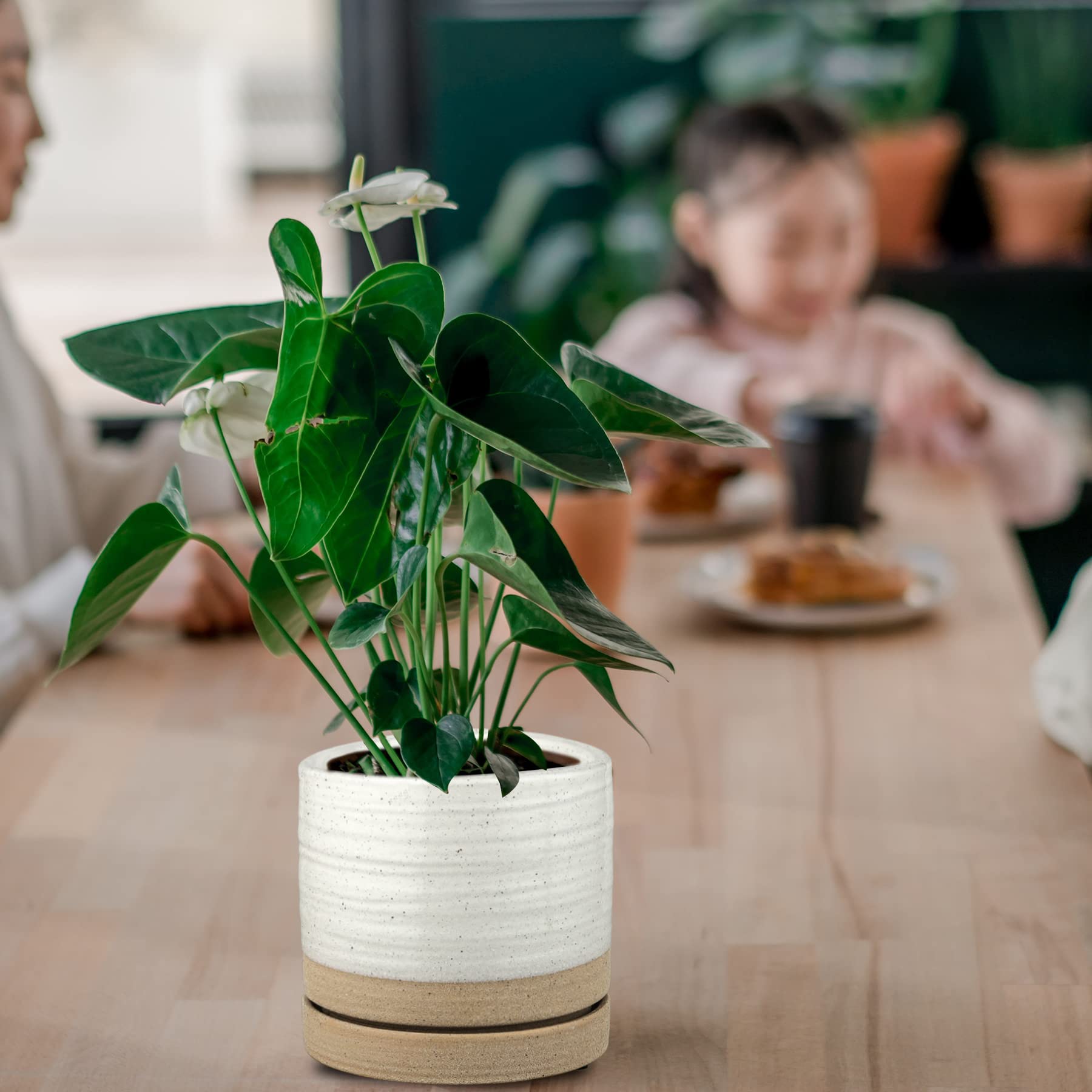 6 Inch Ceramic Plant Pots with Drainage Hole & Saucer - Indoor/Outdoor Cylinder Round Planter for Succulents, Herbs, Flowers - White & Beige Glazed Garden Decor