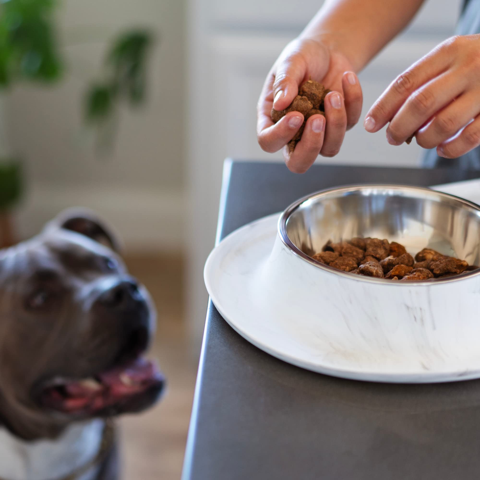 Messy Mutts Double Silicone Dog Feeder with Non-Skid Stainless Steel Bowls - 3 Cups Per Bowl, Large Size for All Pets - Perfect for Mealtime, Travel & Messy Eaters - Marble Design