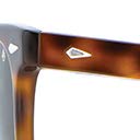 Tortoise / Calobar Green Polarized Lens