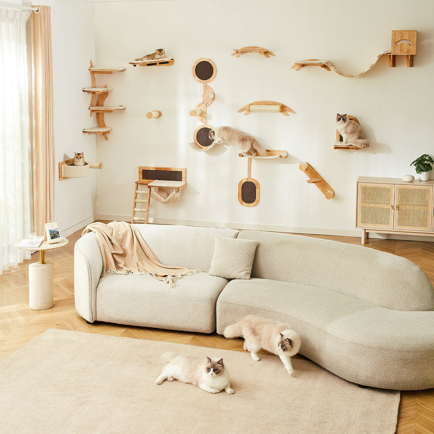 Malmo Scratch & Climb Wall Climber for Cats - Durable Cat Climbing Toy with Scratching Posts - Perfect for Indoor Cat Exercise & Play