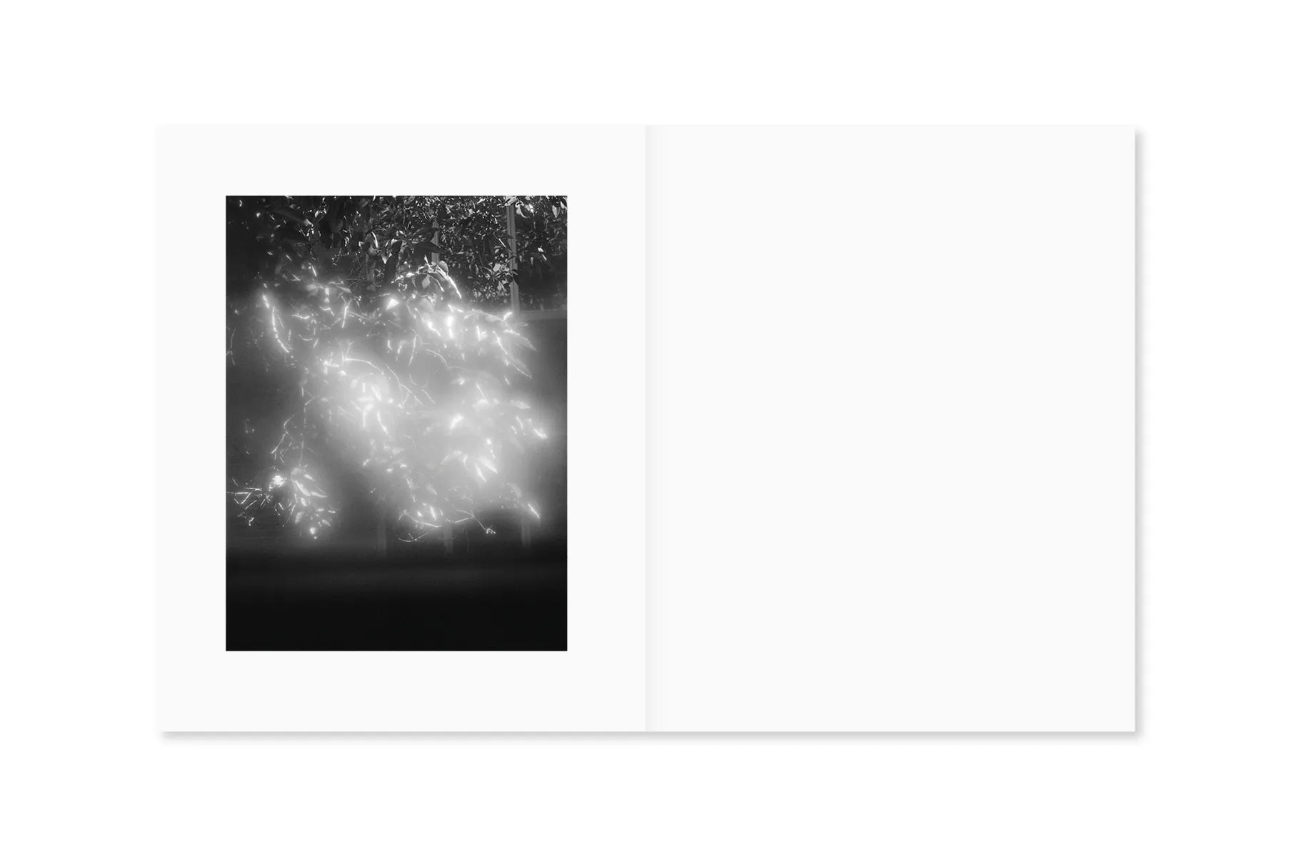 Between the Skin and Sea - Stunning Photography Book by Katrin Koenning | Perfect for Art Lovers, Coffee Table Decor & Photography Inspiration
