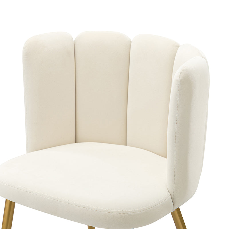 Elodia Side Chair - Modern Accent Chair for Dining Room, Living Room & Office - Sturdy Wooden Frame with Upholstered Seat - Perfect for Home Decor & Small Spaces