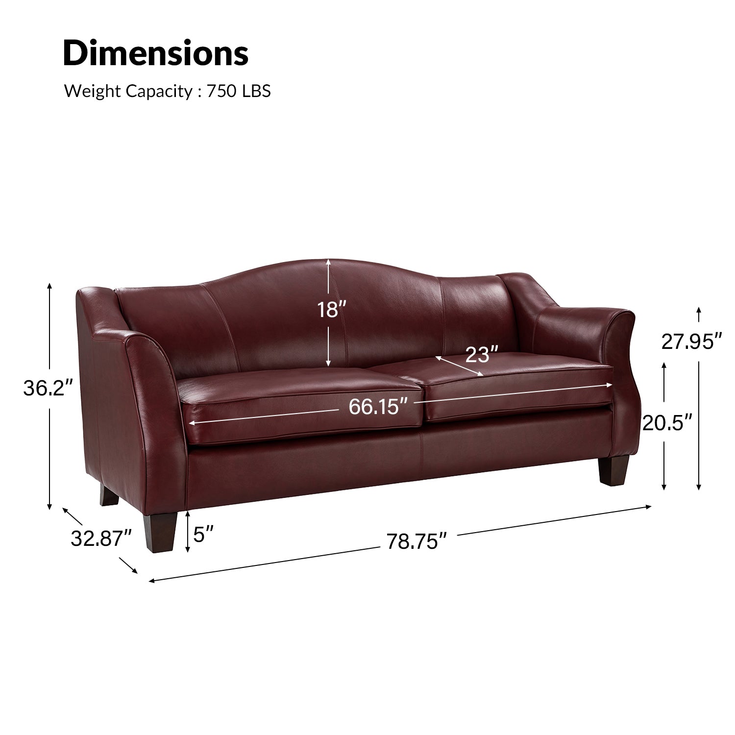 Hugo Traditional Style Curved Genuine Leather Sofa - Elegant Living Room Furniture for Home, Office & Lounge Decor