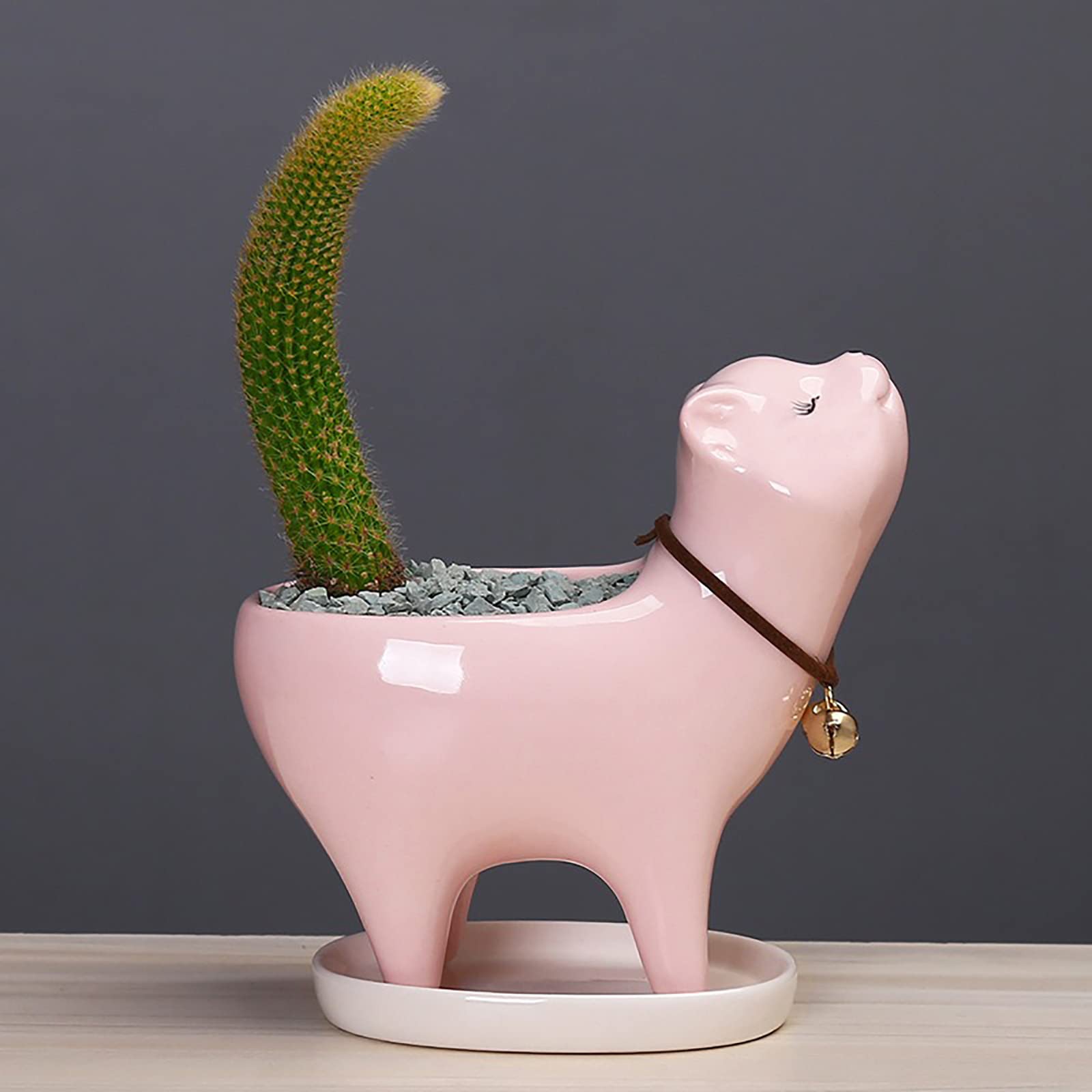 Cute Cartoon Cat Tail Succulent Planter - Multi-Purpose Ceramic Flower Pot for Fairy Palm, Succulents & Small Plants - Perfect for Home Decor, Office Desk & Garden
