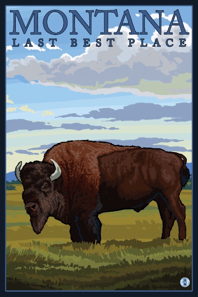 Montana Last Best Place Bison Wall Art - 16x24 Wrapped Canvas Print for Western Home Decor & Office Artwork | Perfect for Living Room, Cabin, or Ranch Style Interior Design