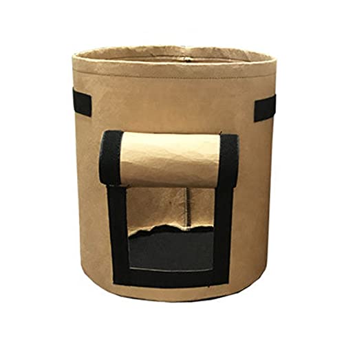 Camel Brown